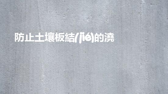 防止土壤板結(jié)的澆水方式，讓你的植物生長更健康.